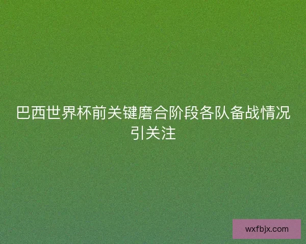 巴西世界杯前关键磨合阶段各队备战情况引关注