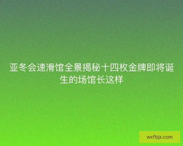 亚冬会速滑馆全景揭秘十四枚金牌即将诞生的场馆长这样