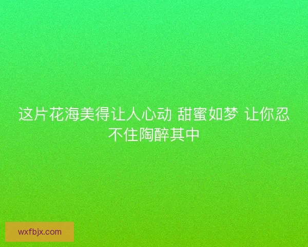 这片花海美得让人心动 甜蜜如梦 让你忍不住陶醉其中