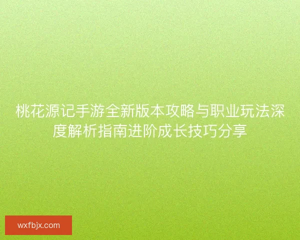 桃花源记手游全新版本攻略与职业玩法深度解析指南进阶成长技巧分享